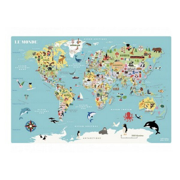 Carte du monde magnetique
