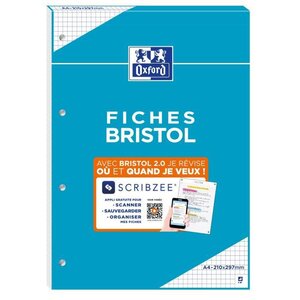 BLOC BRISTOL 2.0 OXFORD PERFORE A4 30 FICHES 210G QUADRILLE 5mm