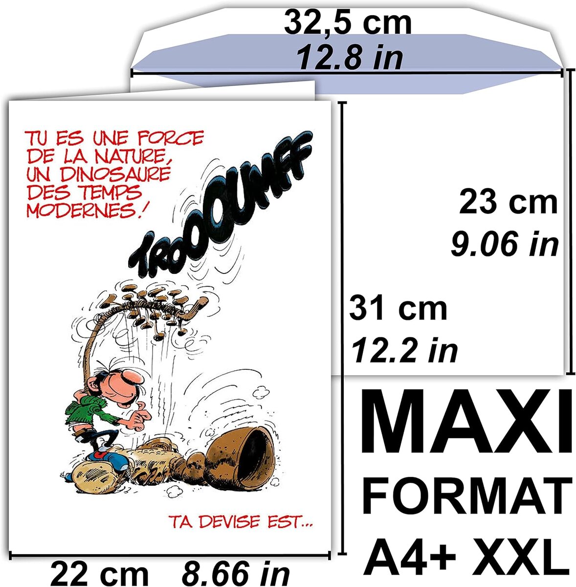 Maxi grande carte géante départ retraite gaston lagaffe franquin avec  enveloppe - La Poste