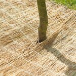 Nature Bâche de protection hivernale Paille de riz 1x1 5 m