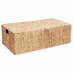vidaXL Boîte de rangement Naturel 60 x 38 x 20 cm Jacinthe d'eau