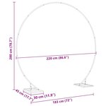 vidaXL Arche de mariage Doré 220 x 45 x 200 cm Acier
