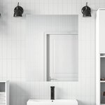 vidaXL Film miroir 2 Pièces Argent PET