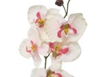 Orchidée phalaenopsis artificielle zen  h 77 cm  6 fleurons  rose pâle - couleur: rose pâle