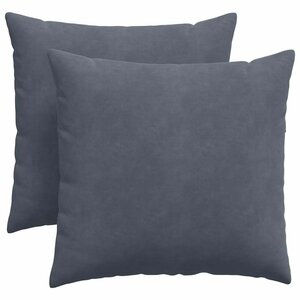 vidaXL Coussins de canapé 2 Pièces Gris foncé 45 x 45 cm