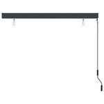 vidaXL Store roulant d'extérieur 170 x 250 cm Anthracite