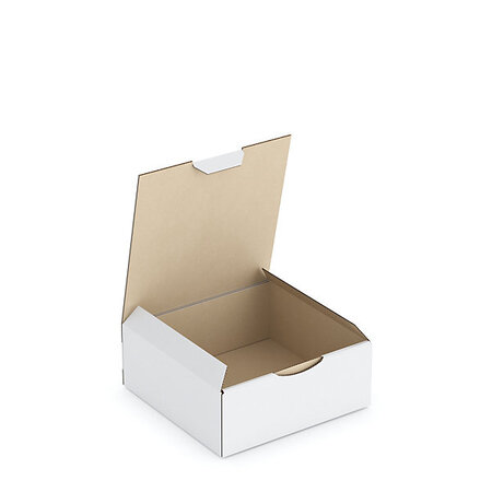 Boîte carton blanche d'expédition rajapost 15x15x6 cm (lot de 50)