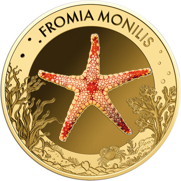 Monnaie RED STARFISH Sea Creatures 1/1000 Oz Or 3000 Francs Chad (PRÉCOMMANDE)