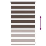 Store enrouleur tamisant 50 x 100 cm marron