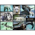 NATHAN Puzzle Une saison au Zoo - 250 pieces - Zoo de la fleche Secteur aquatique