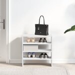 vidaXL Étagères à chaussures 2 Pièces empilable blanc 60x30x30 5 cm