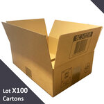 Lot de 100 cartons emballage à simple cannelure standard 310 x 220 x 100 mm