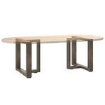 vidaXL Pieds de table basse en T 2 pièces noir 50 x 25 x (42-43) cm acier