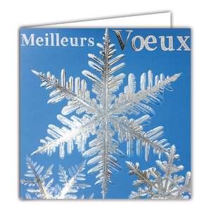 Carte Meilleurs Vœux avec Enveloppe Blanche 15x15cm