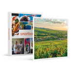 Vol en montgolfière pour 2 personnes au-dessus du beaujolais - smartbox - coffret cadeau sport & aventure