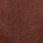 vidaXL Chaises de salle à manger 2 Pièces Marron brillant 57 x 67 x 95 cm