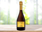 SMARTBOX - Coffret Cadeau Coffret de 3 bouteilles de champagne à déguster chez soi -  Sport & Aventure