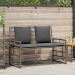vidaXL Banc extérieur 2 -Seater 116 x 55 x 82 cm Acier et Rattan Poly