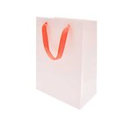 Sac cadeau menthe 26 x 18 cm