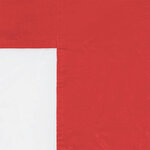 vidaXL Mur de tente de fête 2 pièces 200 x 195 cm Rouge PE et acier