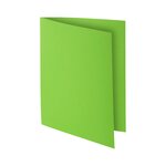 Paquet De 100 Sous-chemises Rock''s 80 - 22x31cm - Vert - Exacompta