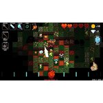Crypt of the NecroDancer - Amplified DLC Jeu Switch
