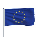 vidaXL Drapeau Union Européenne et mât en aluminium 6 m