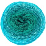 Pelote fil coton turquoise - ricorumi spin spin 50 g