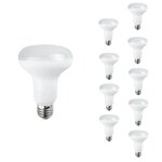 Ampoule e27 led 10w 220v r80 120° (pack de 10) - blanc chaud 2300k - 3500k - silamp