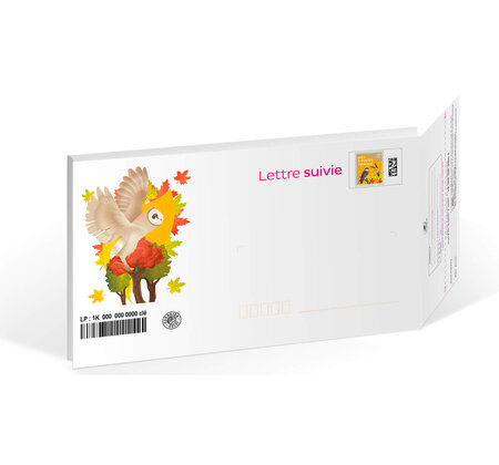 Prêt-à-Poster - Lettre Suivie - 500g - Pochette cartonnée - Edition limitée Chouette