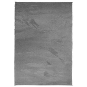 vidaXL Tapis OVIEDO à poils courts anthracite 160x230 cm