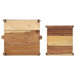 vidaXL Plateau 2 Pièces Marron 29 x 31 x 10 cm Bois Recyclé Solide