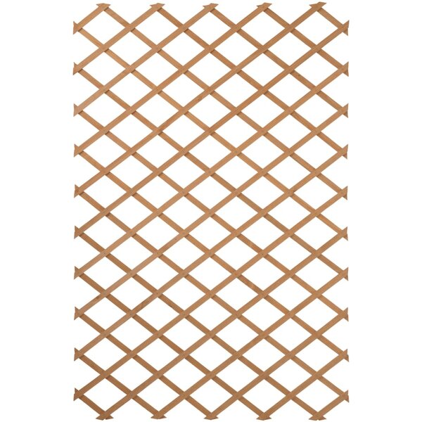 Nature Treillis de jardin 100 x 300 cm Bois Marron