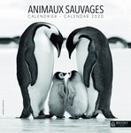 Calendrier illustré année civile Animaux Sauvages 15 X 15 cm BOUCHUT