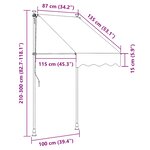 vidaXL Auvent manuel rétractable avec LED 100 cm Anthracite