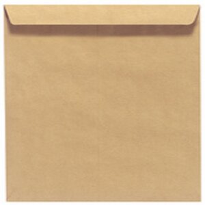 Lot de 100 petites enveloppes en papier kraft marron pour ranger des  salaires, des timbres, des notes (6 x 11 cm)
