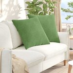 vidaXL Coussins de canapé 2 Pièces Vert clair 80 x 80 cm