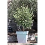 EDA Pot carré Toscane - 50 cm - 87 L - Gris Béton