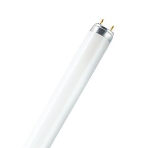 Tube fluorescent 26 mm Lumilux T8 G13 36W 6500°K 1200 mm