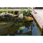 Velda pompe à eau usée pour bassin green line 20000 200 w 126599