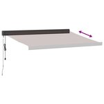 vidaXL Auvent rétractable automatique marron 300x250 cm
