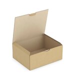 Boîte carton brune d'expédition rajapost 25x20x10 cm (lot de 50)