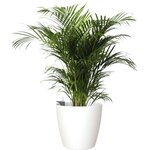ARTEVASI - Pot san remo mate 30cm auto-arrosage blanc 30 x 30 x h27,3 cm - 0,82l