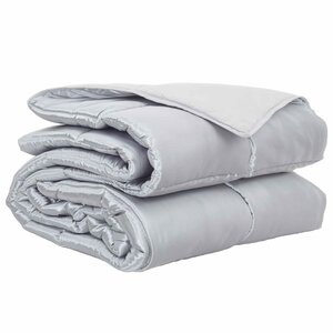 vidaXL Duvet complet toute l'année 200 x 240 cm 300 gsm Argenté