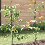 vidaXL Tuteurs spirales pour plantes 50 Pièces Vert 170 cm