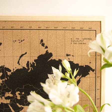 Millimetrado Tableau d'affichage, avec carte du monde en liège, cadre en  bois noir, pour marquer les voyages, plaque en liège, cadeau original pour  voyageurs, conçue et fabriquée en Espagne : : Cuisine