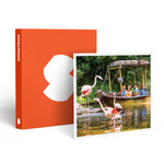 SMARTBOX - Coffret Cadeau Entrée au Parc Bellewaerde en 2024 pour 2 adultes et 2 enfants -  Sport & Aventure