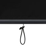 vidaXL Store roulant d'extérieur 80 x 250 cm Anthracite