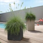 LECHUZA Jardinière CANTO Stone 30 Low ALL-IN-ONE Noir graphite