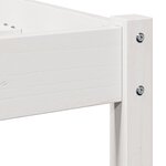 Lit vidaXL avec tête de lit blanche 80x220 cm en bois massif de pin
